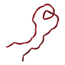 Приманка силиконовая Berkley Powerbait Blood Worm Micro #Blood Red