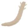 Приманка силиконовая Soorex Pro King Worm 55мм Cheese #101 White