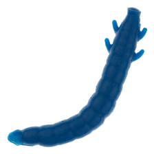 Приманка силиконовая Soorex Pro King Worm 42мм Cheese #127 Blue