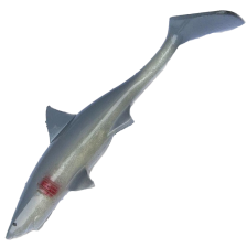 Приманка силиконовая Strike Pro Shark Shad 200мм #Great White