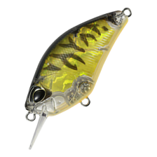 Воблер DUO Realis Crank 50 SSR Kabuki #CDX3933 Champagne Tiger