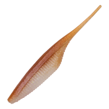Приманка силиконовая DUO Realis Versa Pintail 4" #F080 Natural Wakasagi