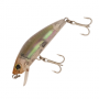 Воблер Yo-Zuri 3D Inshore Minnow 70 F R1211 #RGLM