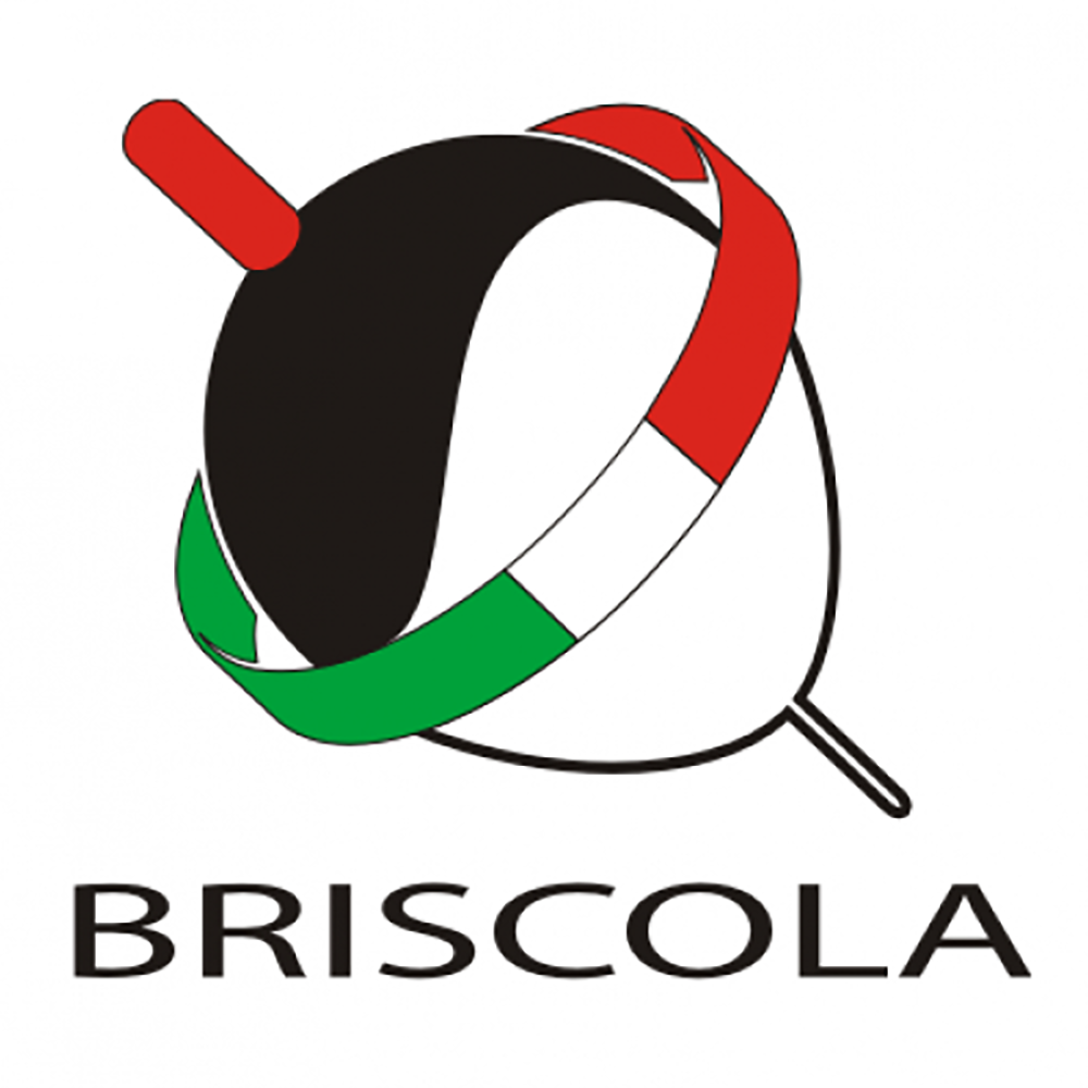 Briscola